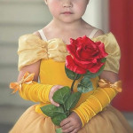 Vestido De Bella Traje La Bella y la bestia Disfraz Para Niña