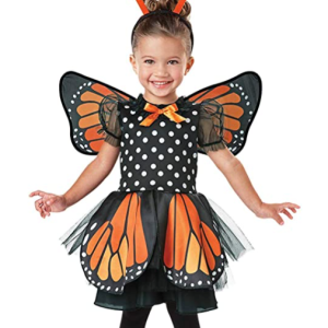 Disfraz Mariposa Niña, animales, alas, cuento