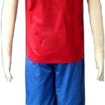 Cosplay de Luffy pre timeskip, One piece, anime, halloween