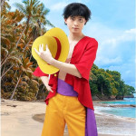 Cosplay Disfraz One Piece Luffy