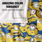 Cobija de los Minions, Mi villano favorito